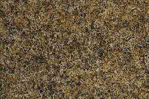 Ковролин Finett Select 1204 фото  | FLOORDEALER