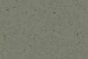 Кварцвиниловые полы Forbo Allura Colour C68030 фото  | FLOORDEALER