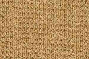 Ковролин Desso Conga 5432 фото  | FLOORDEALER