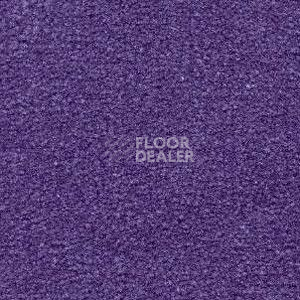 Ковролин Radici Montecarlo 82 фото 1 | FLOORDEALER