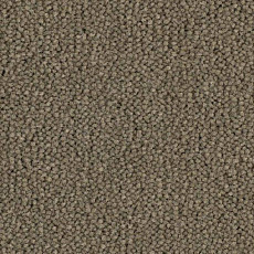 Ковролин Balsan Luxe 763 фото 1 | FLOORDEALER