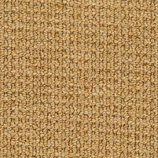 Ковролин Desso Conga 5432 фото 1 | FLOORDEALER