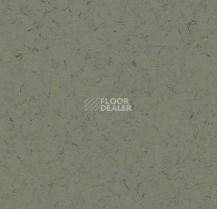 Кварцвиниловые полы Forbo Allura Colour C68030 фото 1 | FLOORDEALER