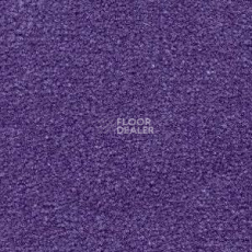 Ковролин Radici Montecarlo 82 фото 1 | FLOORDEALER