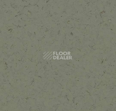 Кварцвиниловые полы Forbo Allura Colour C68030 фото 1 | FLOORDEALER