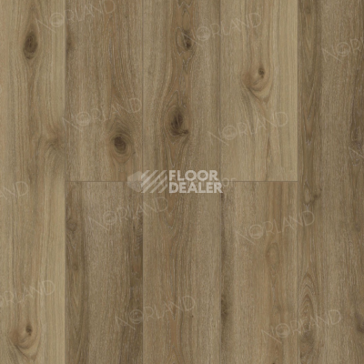 Кварцвиниловые полы Norland Sigrid  LVT 2мм Signi 1003-15 фото 1 | FLOORDEALER