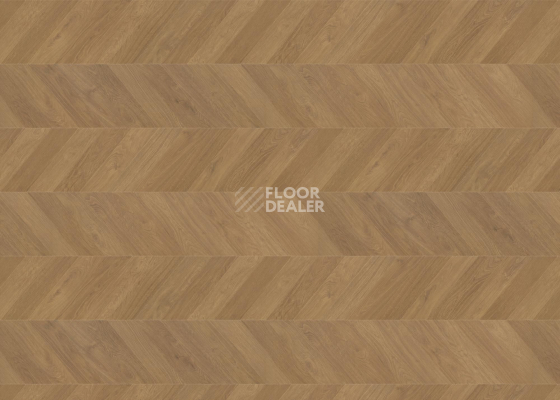 Ламинат Haro Chevron 8мм 545180 Дуб Натур Шеврон фото 1 | FLOORDEALER