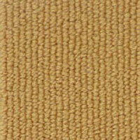 Ковролин Infloor Campus 250 фото 1 | FLOORDEALER