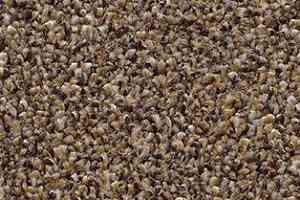 Ковролин AW Perseus 38 фото  | FLOORDEALER