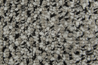 Balsan Take a Walk 710 Take a Walk фото 3 | FLOORDEALER