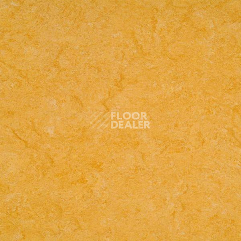 Линолеум Gerflor Marmorette Acoustic DLW 121-072 фото 1 | FLOORDEALER
