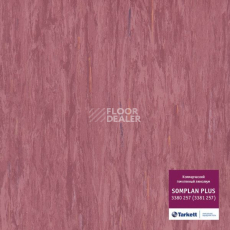 Линолеум Tarkett Somplan Plus 3380 257 (3381 257) фото 1 | FLOORDEALER