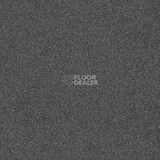 Ковровая плитка Interface Polichrome 7560 Quartz фото 1 | FLOORDEALER