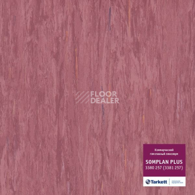 Линолеум Tarkett Somplan Plus 3380 257 (3381 257) фото 1 | FLOORDEALER