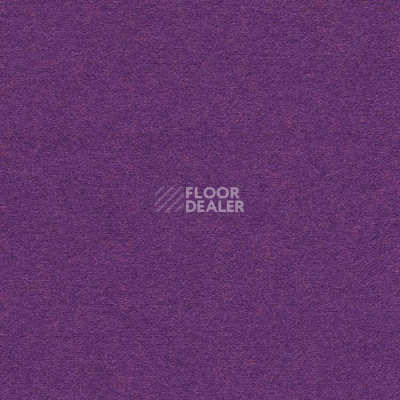 Ковролин Finett Feinwerk 753504 фото 1 | FLOORDEALER