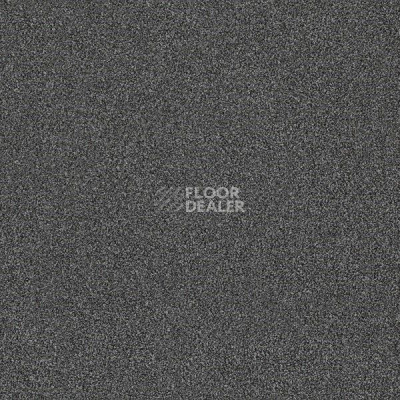 Ковровая плитка Interface Polichrome 7560 Quartz фото 1 | FLOORDEALER