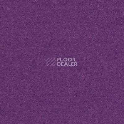 Ковролин Finett Feinwerk 753504 фото 1 | FLOORDEALER