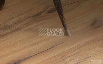 Vinilam Cork Premium Click 8мм 33037 Дуб Кадис фото 3 | FLOORDEALER