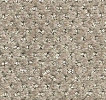 Ковролин Balsan Aquarelle Touch 920 фото 1 | FLOORDEALER