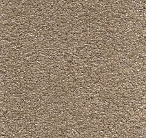 Ковролин AW Invictus Sirius 33 фото 1 | FLOORDEALER