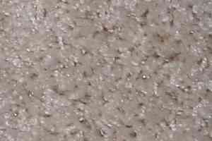 Ковролин Bell Rock Beaulieu of America 2694 фото  | FLOORDEALER