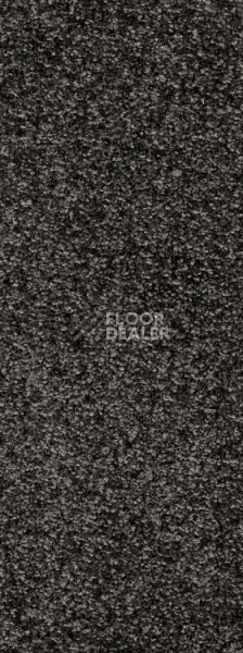 Ковровая плитка Invictus Spartacus 99 фото 1 | FLOORDEALER