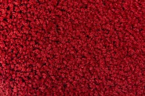 Haima Stepway n 5023 фото 3 | FLOORDEALER