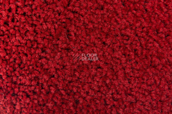 Haima Stepway n 5023 фото 3 | FLOORDEALER