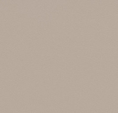 Линолеум Forbo Modul'up Compact Colour 863UP43C beige grey uni фото 1 | FLOORDEALER