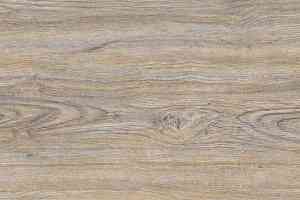 Пробковое покрытие Corkstyle Wood CORK OAK LEACHED фото  | FLOORDEALER