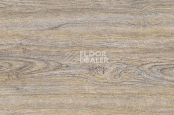 Пробковое покрытие Wood CORK OAK LEACHED фото 1 | FLOORDEALER