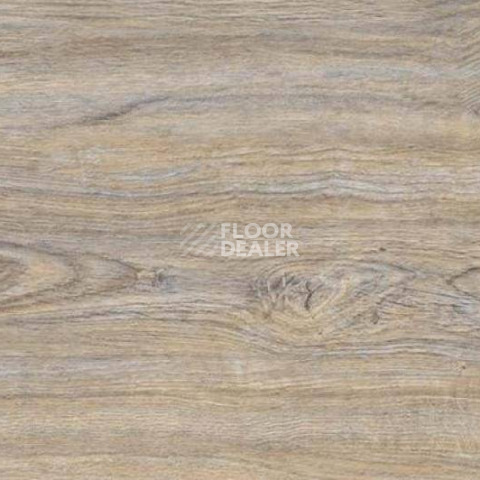 Пробковое покрытие Wood CORK OAK LEACHED фото 1 | FLOORDEALER