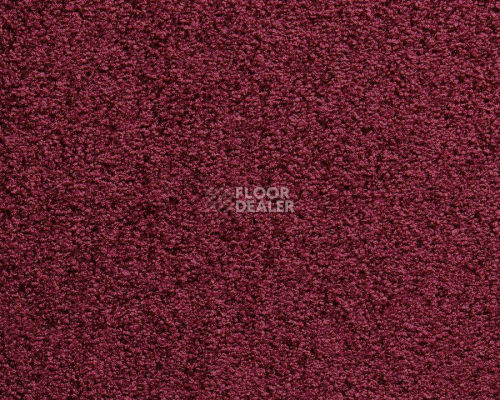 Ковролин Balta ITC Harmony 016 фото 1 | FLOORDEALER