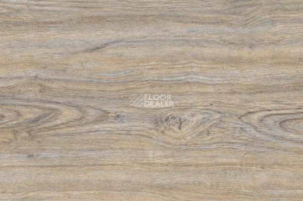 Пробковое покрытие Corkstyle Wood CORK OAK LEACHED фото 1 | FLOORDEALER