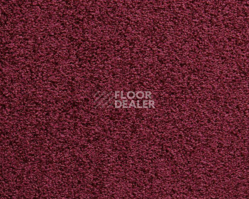 Ковролин Balta ITC Harmony 016 фото 1 | FLOORDEALER