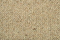 Creatuft Alfa Alfa 88 фото 2 | FLOORDEALER