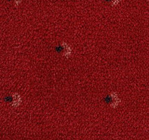 Ковролин Pullman Associated Weavers 10 фото 1 | FLOORDEALER