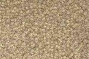 Ковролин Shaw Bradberry 30 235 фото  | FLOORDEALER