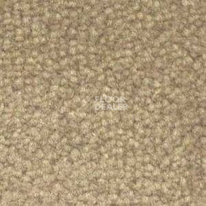 Ковролин Shaw Bradberry 30 235 фото 1 | FLOORDEALER