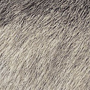 Ковровая плитка Halbmond Set it up 15044 a 01  | FLOORDEALER