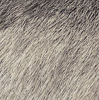 Halbmond Set it up 15044 a 01 фото 1 | FLOORDEALER