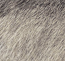 Halbmond Set it up 15044 a 01 фото 1 | FLOORDEALER