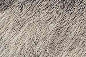 Ковровая плитка Halbmond Set it up 15044 a 01 фото  | FLOORDEALER