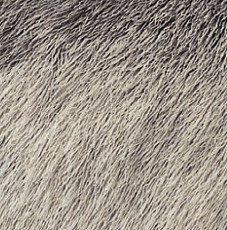 Halbmond Set it up 15044 a 01 фото 1 | FLOORDEALER