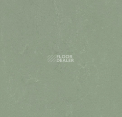 Линолеум Forbo Marmoleum Decibel on Order 375035 pine forest фото 1 | FLOORDEALER