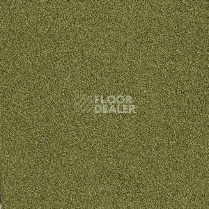 Ковровая плитка Interface Sherbet Fizz 5567 фото 1 | FLOORDEALER