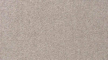 Ковролин Vorwerk Passion 1004 Vorwerk 5v27 фото 1 | FLOORDEALER