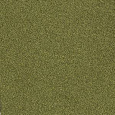 Ковровая плитка Interface Sherbet Fizz 5567 фото 1 | FLOORDEALER