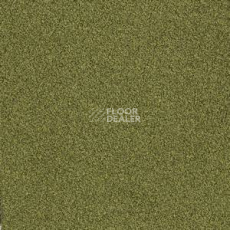 Ковровая плитка Interface Sherbet Fizz 5567 фото 1 | FLOORDEALER