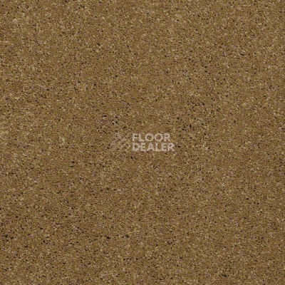 Ковролин Shaw Design Texture Platinum 266 фото 1 | FLOORDEALER